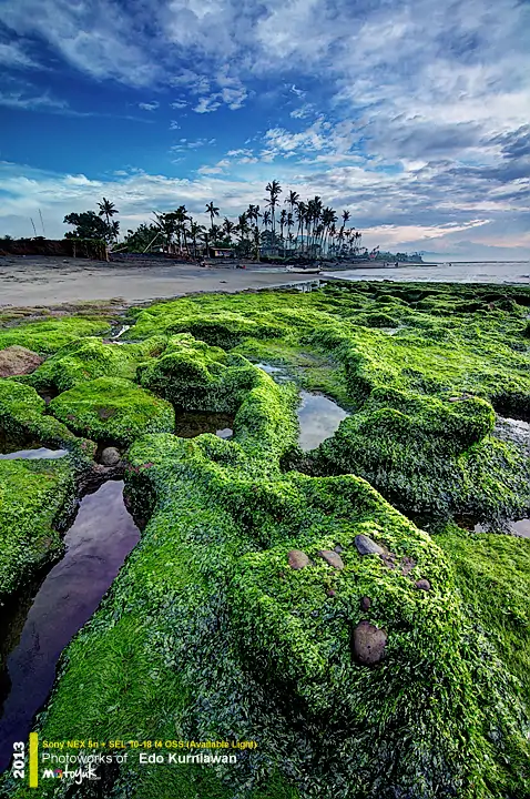 Pantai Manyar